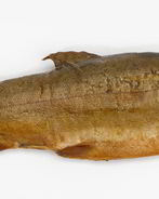 Лещ горячего копчения