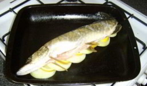 щука, запеченная в духовке