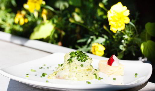 сельдь в травах