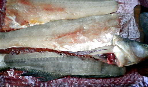 судак в имбирном маринаде на овощной подушке