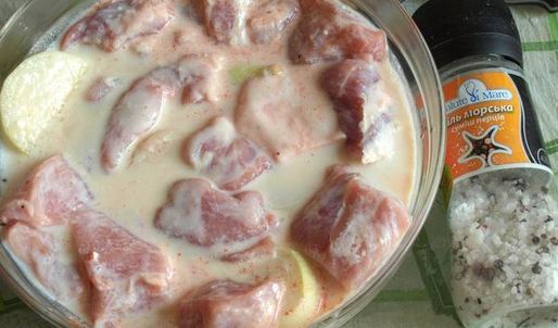 шашлык из свинины маринованной в кефире