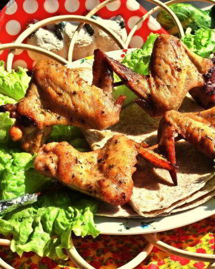 Рецепт шашлыка крылатого