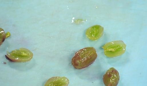 стейк из фуа-гра