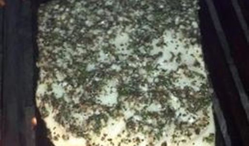 стейк из рыбы на гриле