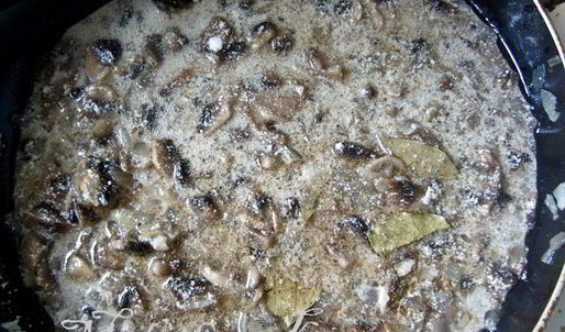 куриные тефтели в грибном соусе