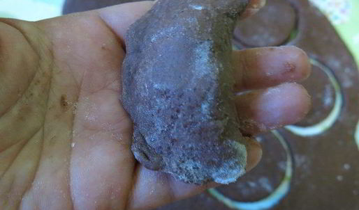 шоколадные вареники с ягодами