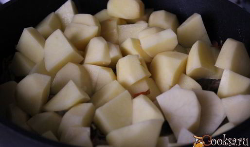 жаркое из свинины с картофелем и сушеными грибами