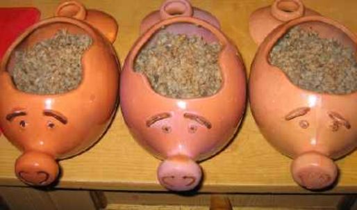 каша гречневая с белыми грибами