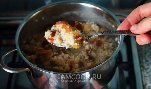 каша дружба с сушеными яблоками и изюмом