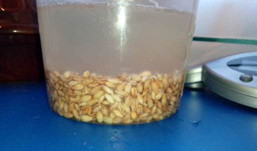 перловая каша