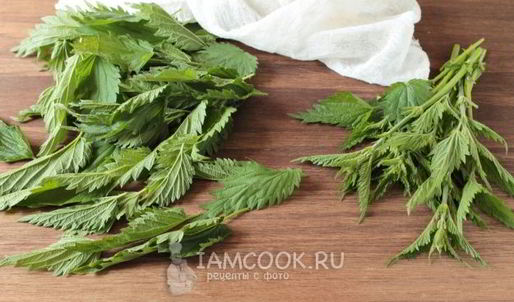 чай из крапивы