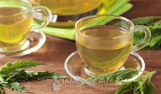 чай из крапивы