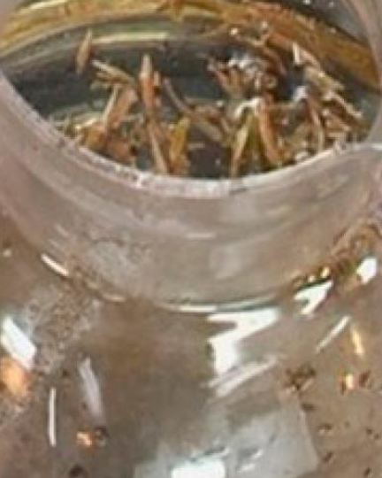 Рецепт чая молочного улун