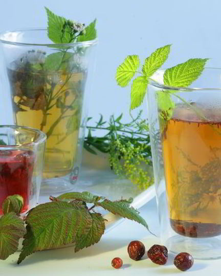 Рецепт чая с шиповником и крапивой