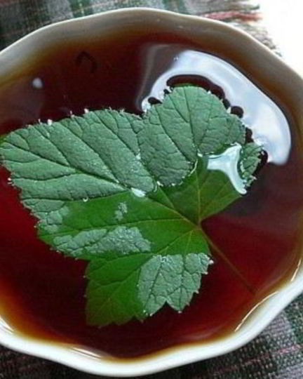 Рецепт чая татарского со смородиной и медом