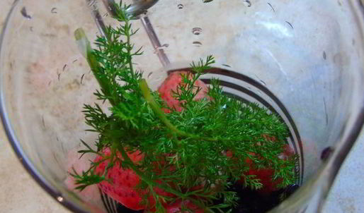 клубнично-смородиновый чай с фенхелем