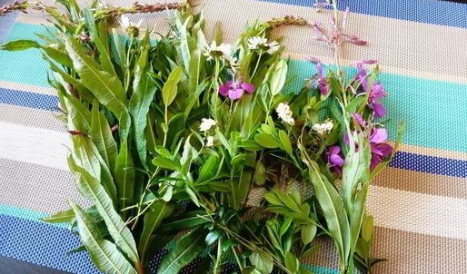 копорский чай с травами