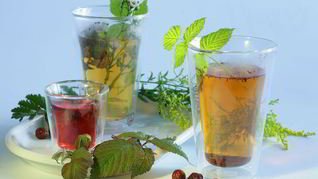 Домашнее пиво