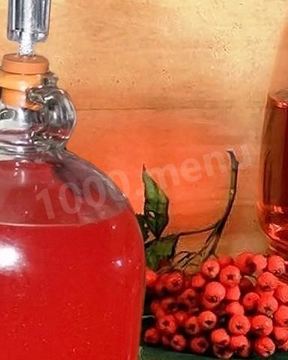 Домашнее вино из красной рябины