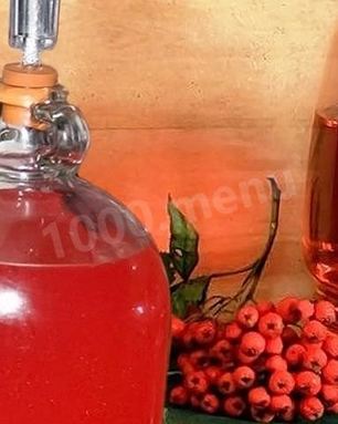 Домашнее вино из красной рябины