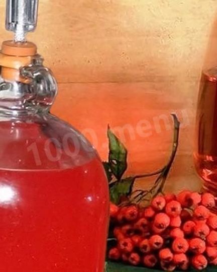 Рецепт домашнего вина из красной рябины