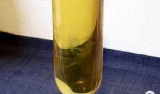 коктейль ко дню благодарения