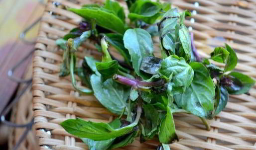 коктейль свекольно-томатный с сельдереем, базиликом и авокадо