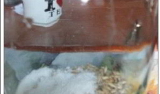 квас из овса