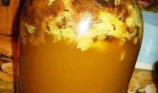 квас из сусла