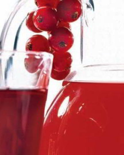 Рецепт морса из красной смородины