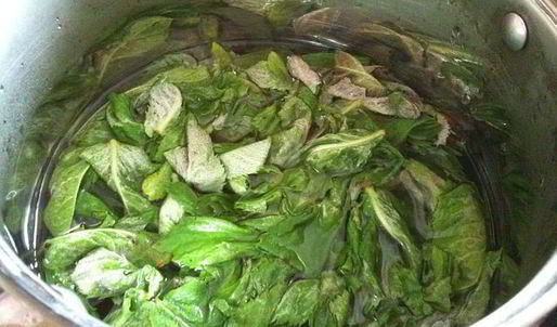 мятный сироп