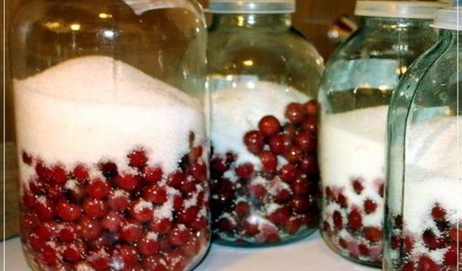 вишневая наливка