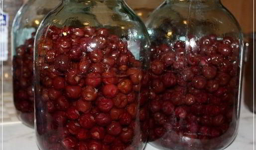 вишневая наливка