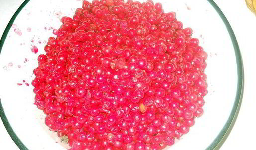 напиток и сок из калины