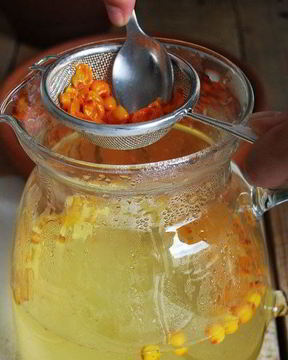 Напиток из облепихи и имбиря