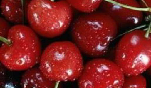 вишневая настойка