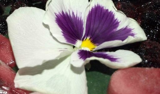 фруктовый смузи-боул со спирулиной