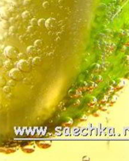 Рецепт царского пива