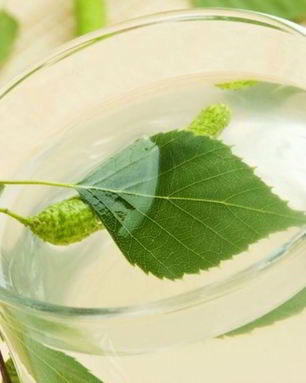 Вино из березового сока