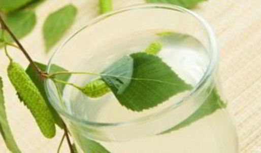 вино из березового сока