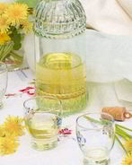 Вино из одуванчиков