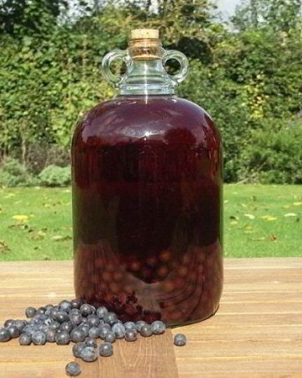 Рецепт вина из терна