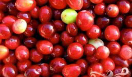 витаминный напиток великолепная клюква