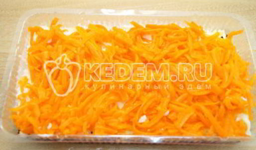 салат заливная селедка под шубой