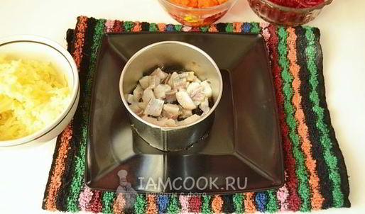 селедка под шубой на новый год собаки