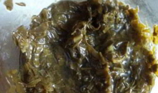 борщ из щавеля консервированного