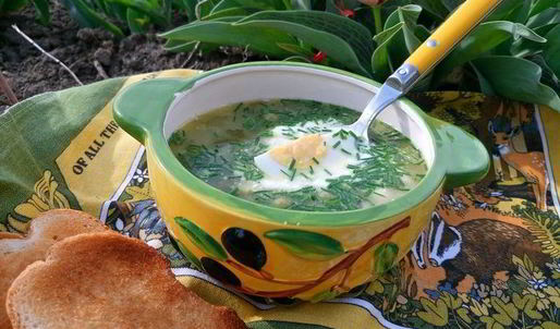 зеленый борщ на новый лад