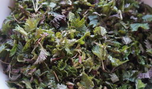 зеленый борщ с крапивой