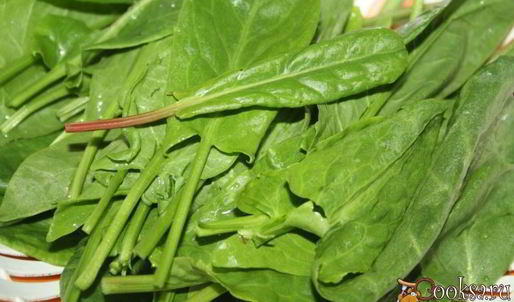 зеленый борщ со щавлем и маринованными огурцами