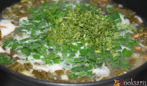 зеленый борщ со щавлем и маринованными огурцами